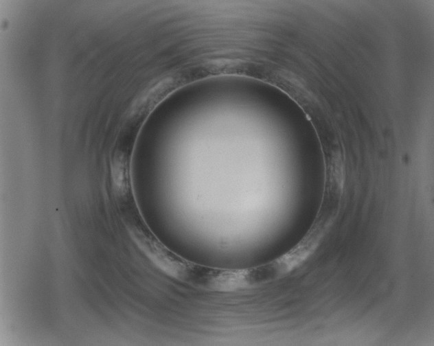 X0000078860138200611131212