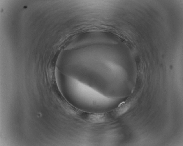 X0000078860139200611131212