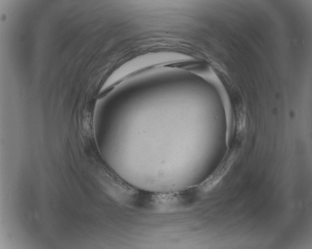 X0000078860141200611131212