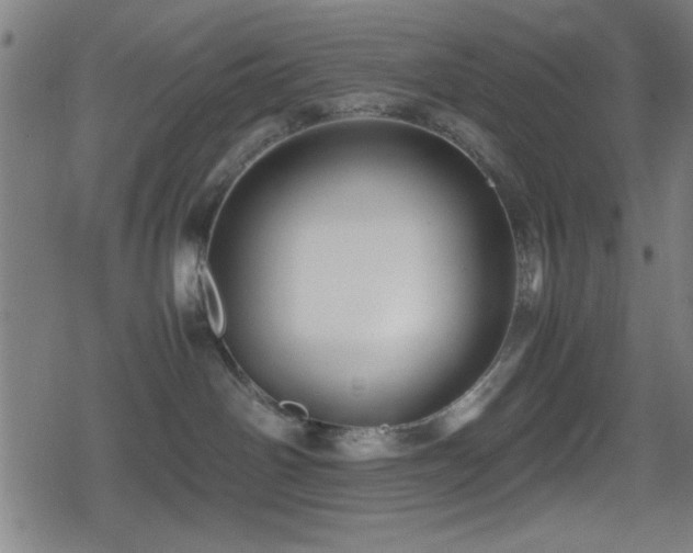 X0000078860142200611131212