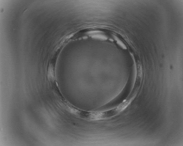 X0000078860143200611131212