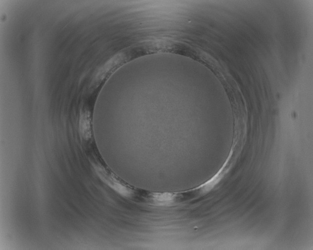 X0000078860144200611131212