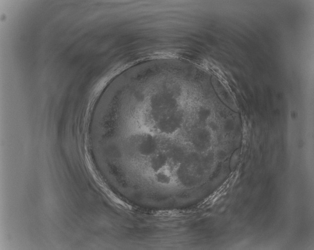 X0000078860145200611131211