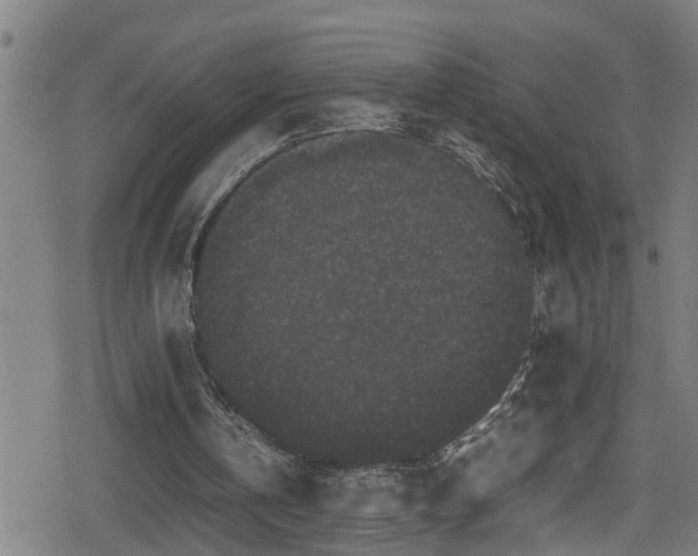 X0000078860146200611131211