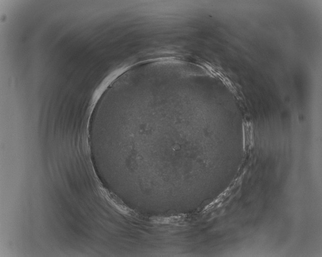 X0000078860147200611131211