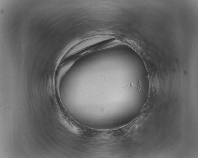 X0000078860148200611131211