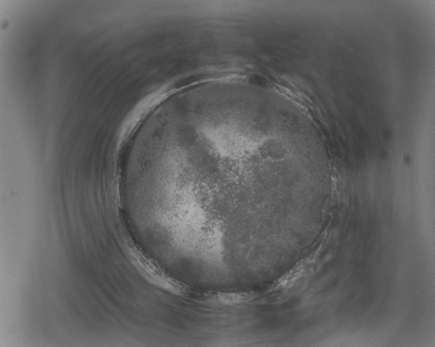 X0000078860149200611131211