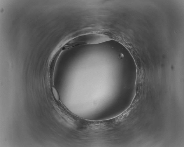 X0000078860150200611131211