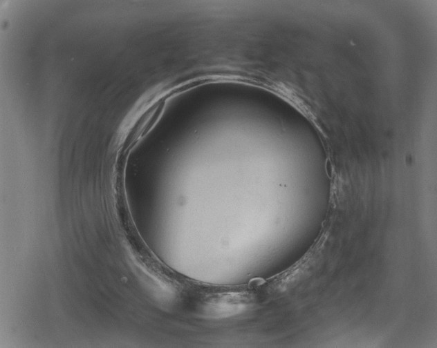 X0000078860151200611131211