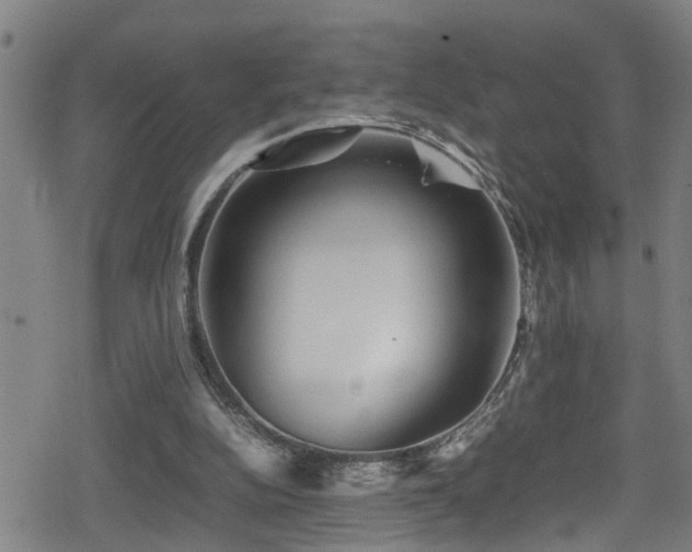 X0000078860152200611131212