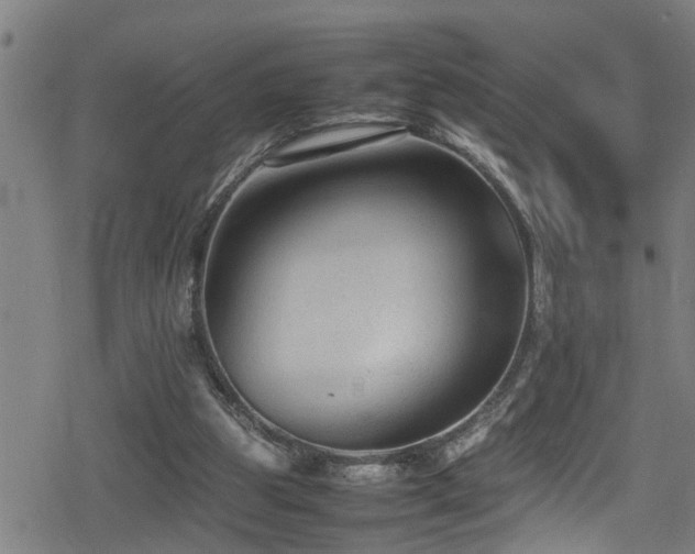 X0000078860153200611131212