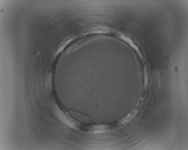 X0000078860154200611131212