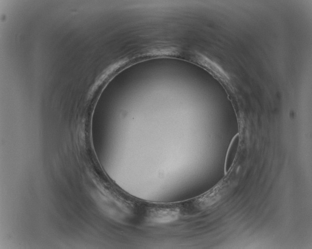 X0000078860155200611131212