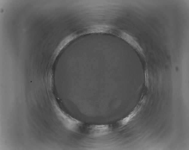 X0000078860156200611131212