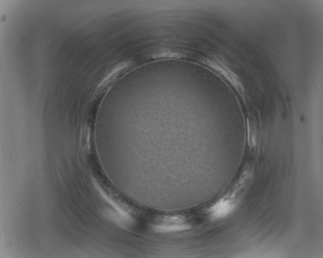 X0000078860157200611131212