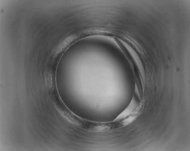 X0000078860158200611131212