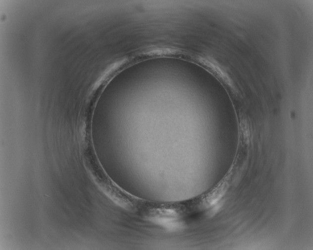 X0000078860159200611131212