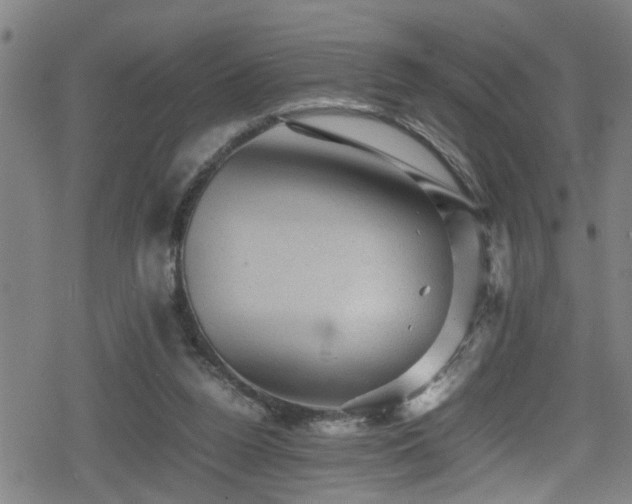 X0000078860160200611131212