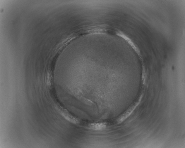 X0000078860161200611131212