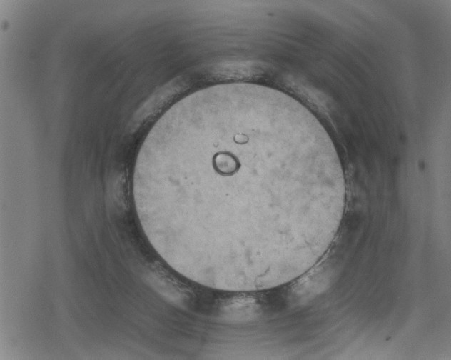 X0000078860162200611131212