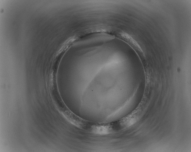 X0000078860163200611131212