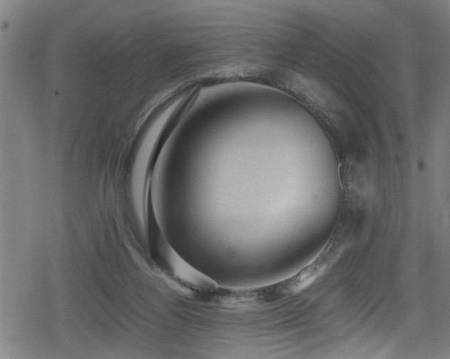 X0000078860164200611131212