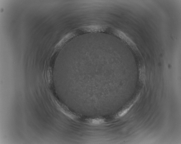 X0000078860165200611131212