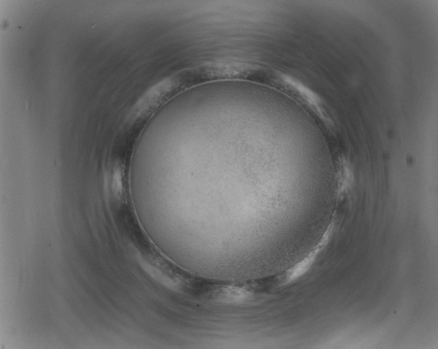 X0000078860166200611131212