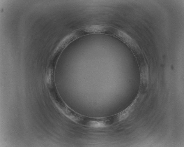 X0000078860167200611131212