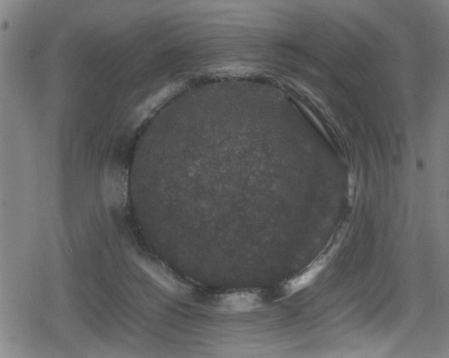 X0000078860168200611131212