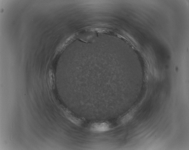 X0000078860169200611131212