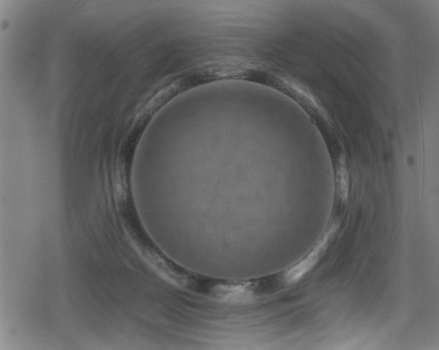 X0000078860170200611131212