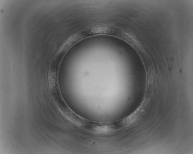 X0000078860171200611131212