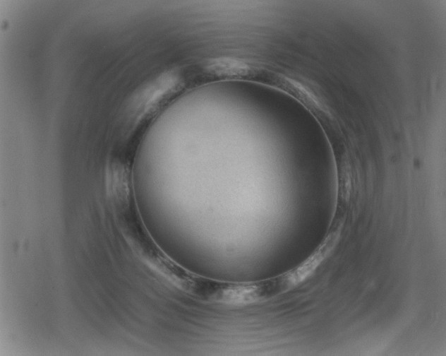 X0000078860172200611131212