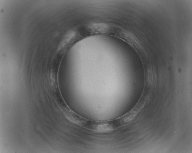 X0000078860173200611131212