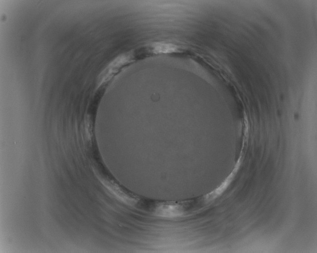 X0000078860174200611131212