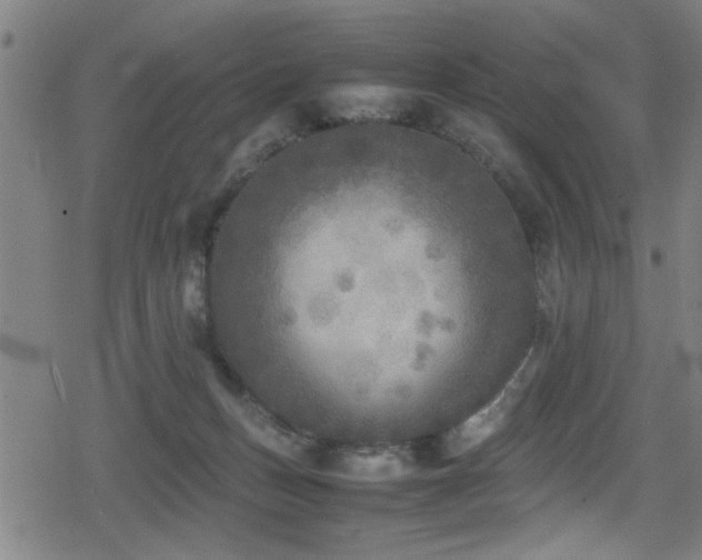 X0000078860175200611131212