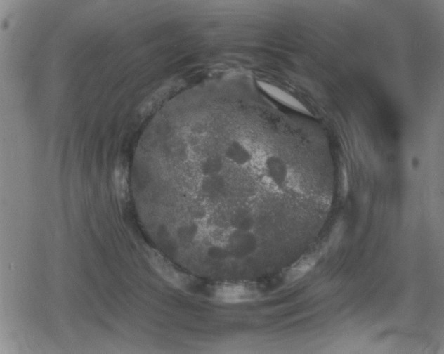 X0000078860177200611131212