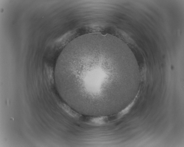 X0000078860178200611131212