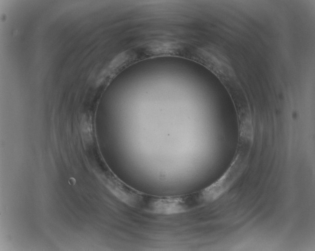 X0000078860179200611131212