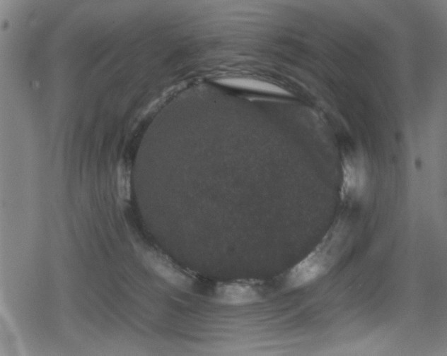 X0000078860180200611131212