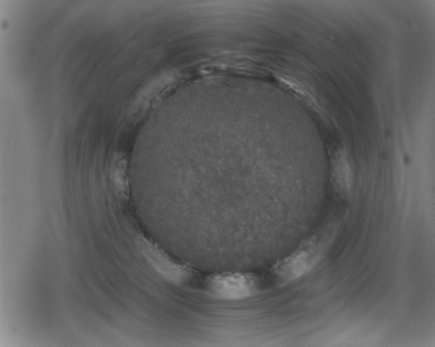 X0000078860181200611131212