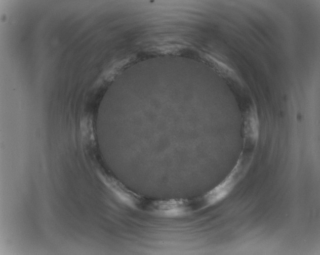 X0000078860182200611131212