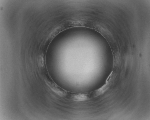 X0000078860183200611131212