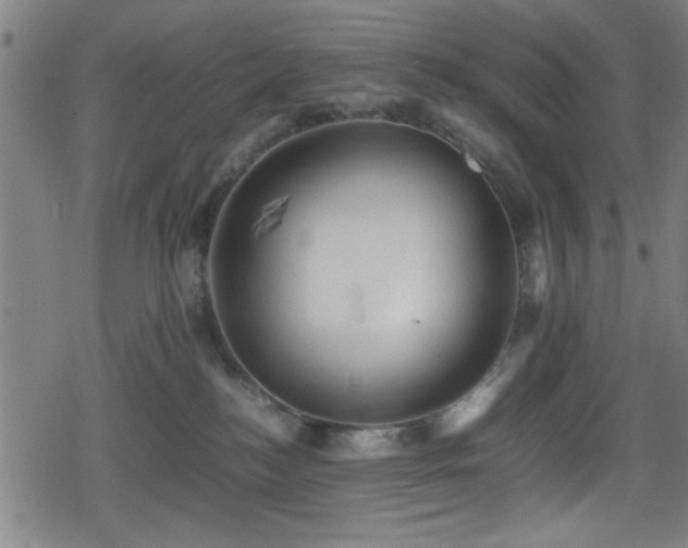 X0000078860184200611131212