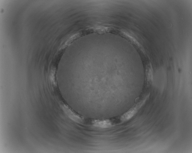 X0000078860185200611131212