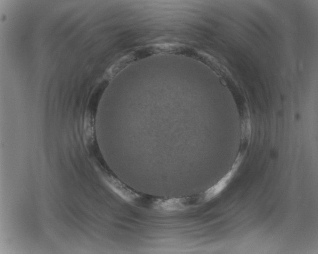 X0000078860186200611131212