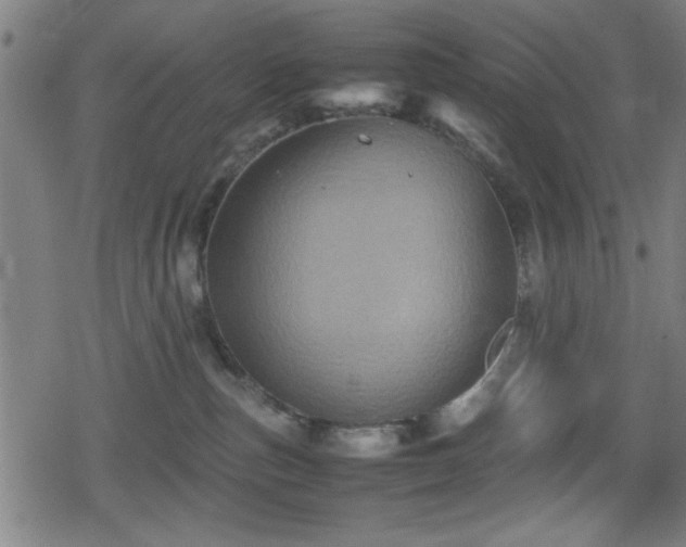 X0000078860187200611131212