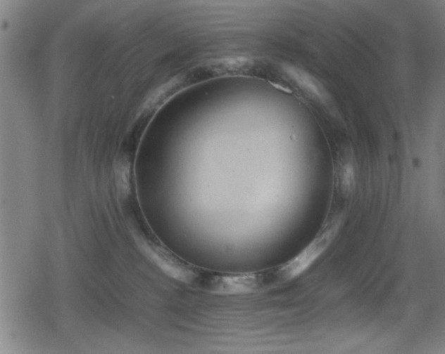 X0000078860188200611131212