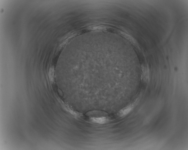 X0000078860189200611131212